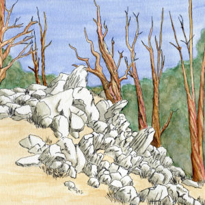 Ink and watercolor painting of a group of bristlecone pine trees on top of a lot of rocks
