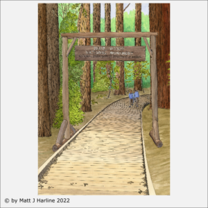 Watercolor-MuirWoods-Gateway