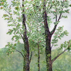 OhiaLehuaTrio Acrylic Ink and Watercolor