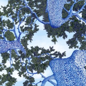 Peering Skyward In Blue and Green