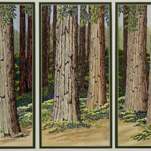 Triptych of a walk along a path in Muir Woods, viewing the many redwoods there.